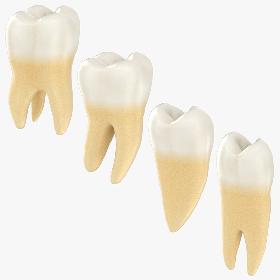 Teeth Collection model
